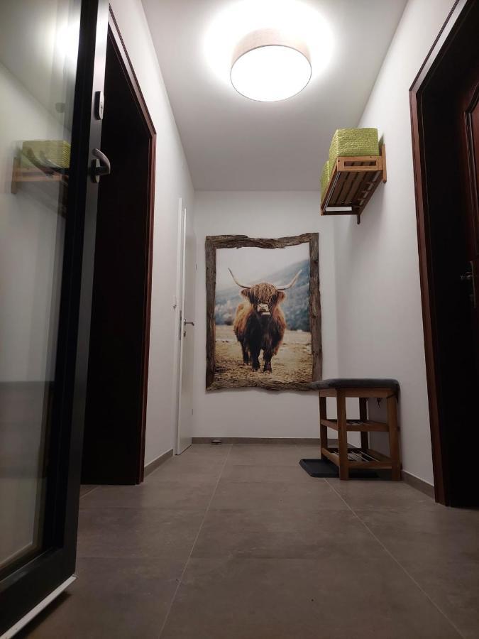 Dolomitenhome Apartments Patriasdorf Dış mekan fotoğraf